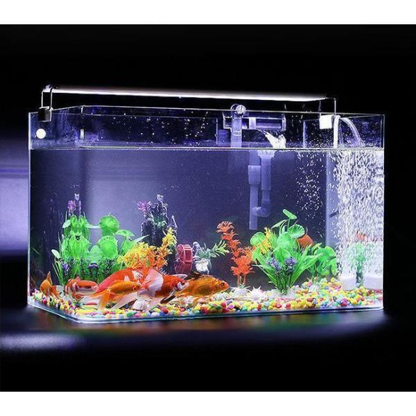 大型水槽 超白ガラス透明 水槽 アクアリウム バブルボウル 苔