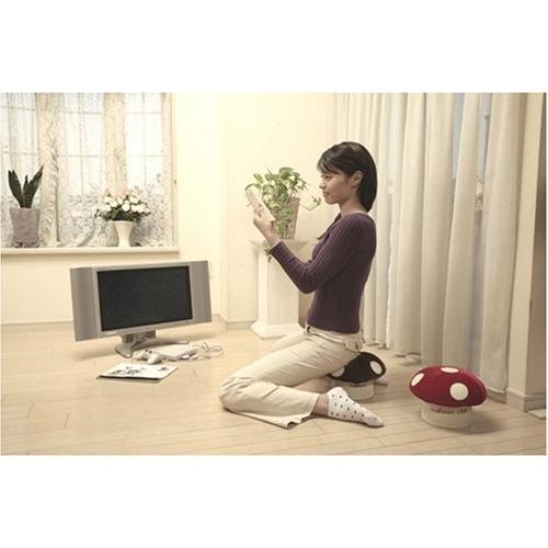 ランキング上位のプレゼント 富士パックス きの小いす ブラウン きのこ型低反発クッション Cisama Sc Gov Br