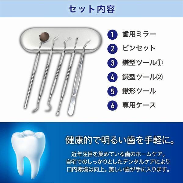 毎日がバーゲンセール 歯石取り 器具 歯医者 除去 自分で 犬 Wantannas Go Id
