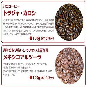 2026贅沢福袋「8つの宝石」8種の希少なコーヒー豆、各100gセット