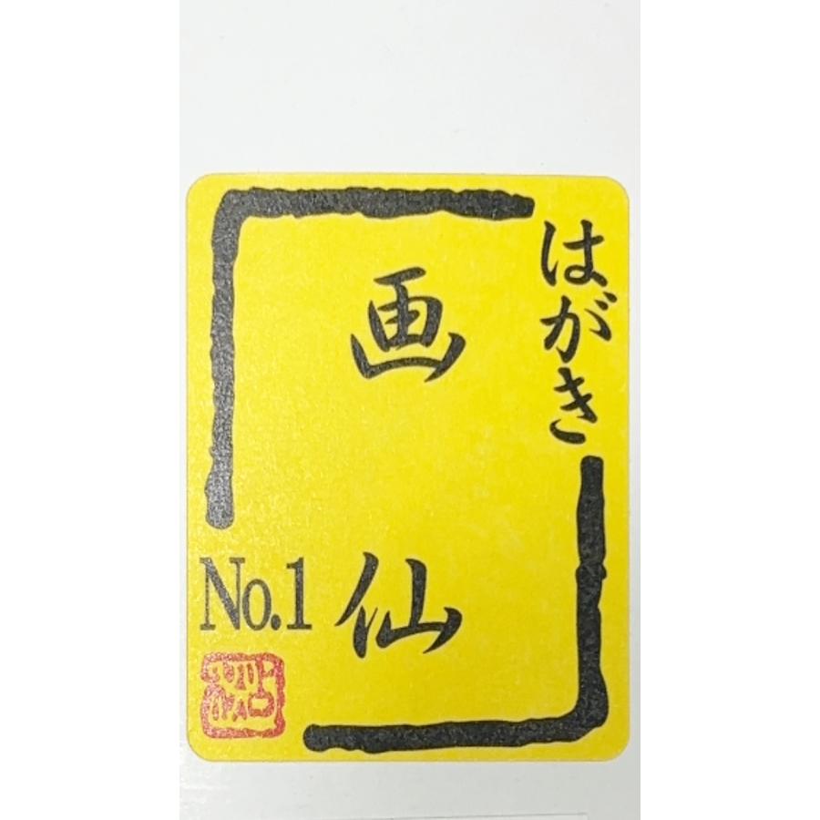 はがき 4種セット 画仙 本画仙 越前画仙 越前手漉 各10枚入り 絵手紙