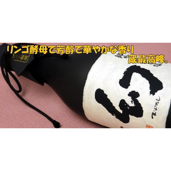 中尾醸造 - ★新品未開封★純米大吟醸原酒 まぼろし黒箱 720ml×2本 誠鏡 純米大吟醸原酒まぼろし『黒箱』(中尾醸造) 広島県の日本酒