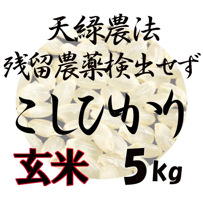 コシヒカリ 藍藻育ち 天緑農法 こしひかり 5kg 高LPS 残留農薬200項目