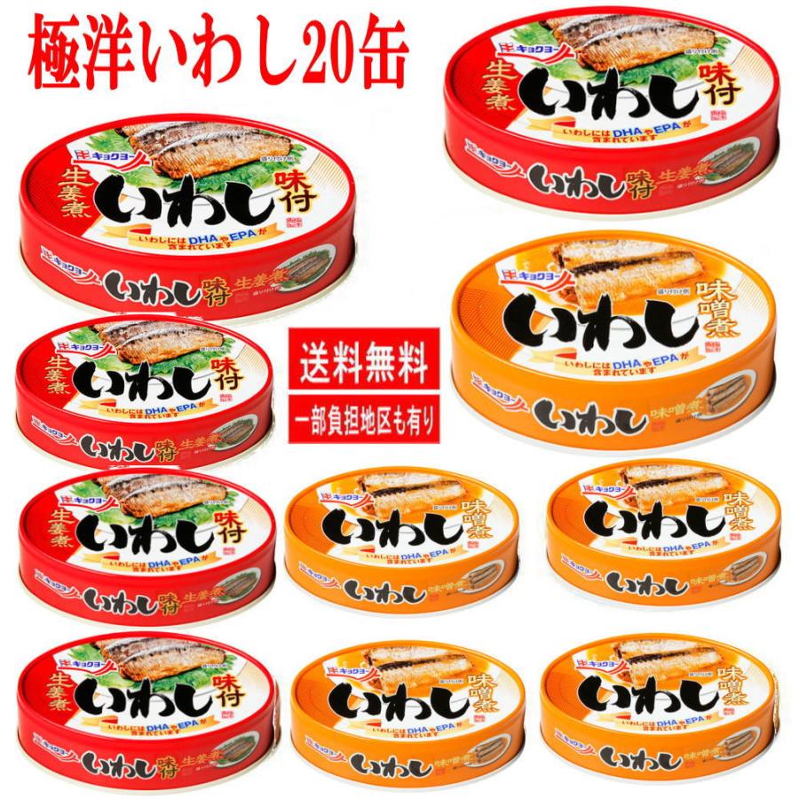 【新発売】 極洋 缶詰 イワシ缶 いわし 缶詰 味噌煮 いわし味付 100g 2種20缶セット 関東圏送料無料｜hiroshimaya-pachi｜02