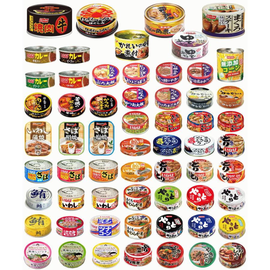 缶詰め】リニューアル 非常食 保存食に 缶詰 60缶 6大メーカー 水産