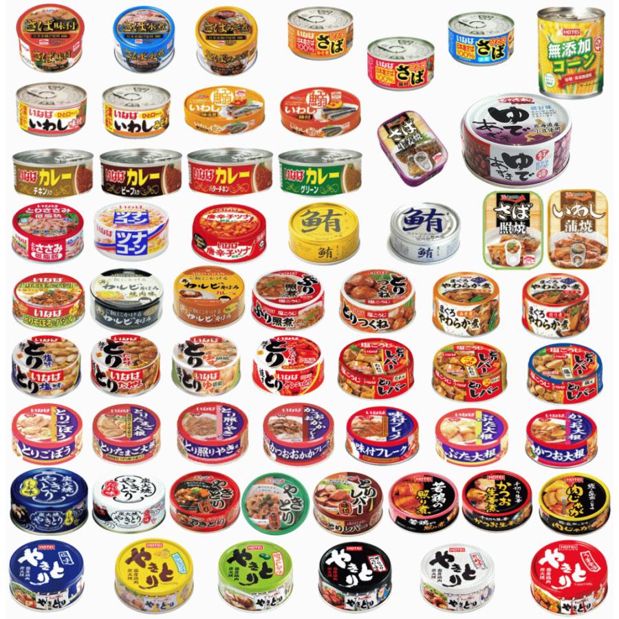 缶詰め】リニューアル 非常食 保存食に 缶詰 50缶 いなば ホテイ 極洋