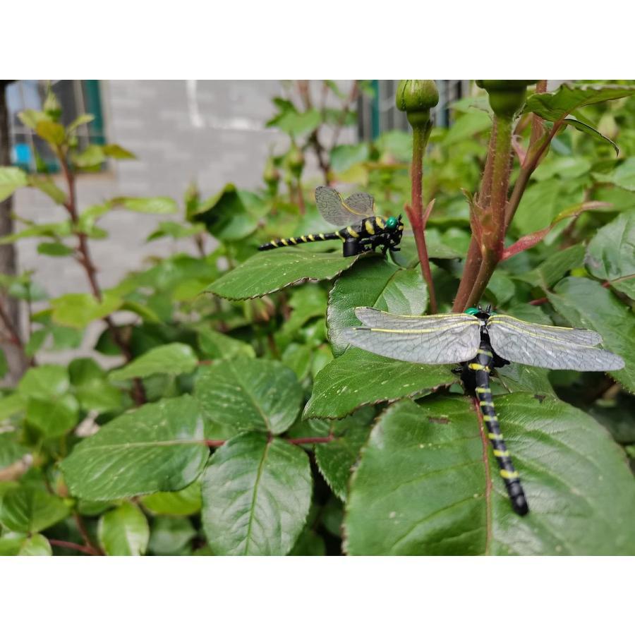 即納 安全なピン付き 6cm 虫除け オニヤンマ 効果 トンボ 昆虫 動物 家 おもちゃ 模型 リアル PVC インテリア 置物 完成品 釣り用品 大人気 話題 小さめ｜hirosyou｜11