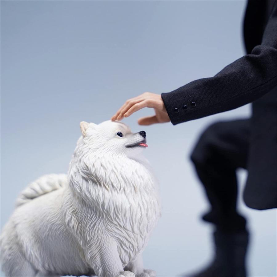 JXK 1/6サイズ ポメラニアン 犬 フィギュア 動物 リアル PVC プラモデル プレミアム 大人のおもちゃ 模型 8cm級 オリジナル スタチュー 犬好き プレゼント 置物｜hirosyou｜09