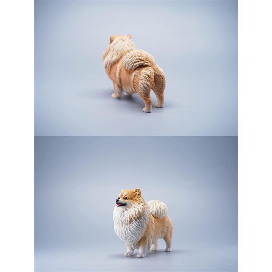 JXK 1/6サイズ ポメラニアン 犬 フィギュア 動物 リアル PVC プラモデル プレミアム 大人のおもちゃ 模型 8cm級 オリジナル スタチュー 犬好き プレゼント 置物｜hirosyou｜11