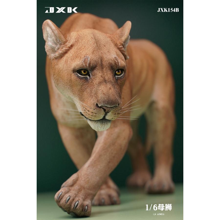 JXK 1/6 サイズ ライオン メス 雌 動物 リアル フィギュア プラモデル プレミアム 模型 オリジナル スタチュー 塗装済 完成品 ライオン好き プレゼント 37.5cm｜hirosyou｜16