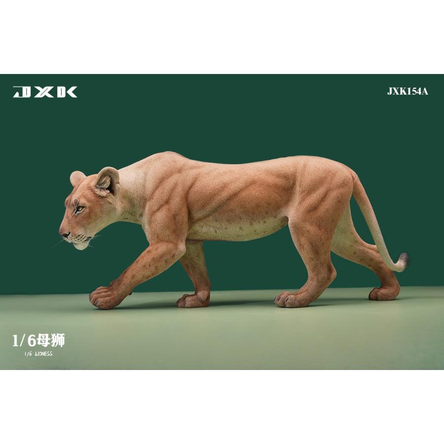 JXK 1/6 サイズ ライオン メス 雌 動物 リアル フィギュア プラモデル プレミアム 模型 オリジナル スタチュー 塗装済 完成品 ライオン好き プレゼント 37.5cm｜hirosyou｜09