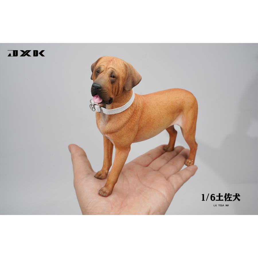 JXK 1/6 サイズ 土佐闘犬 土佐犬 フィギュア 17.5CM 樹脂 スタチュー リアル 犬 プラモデル 模型 プレミアム オリジナル 犬好き 誕生日 プレゼント 置物｜hirosyou｜15