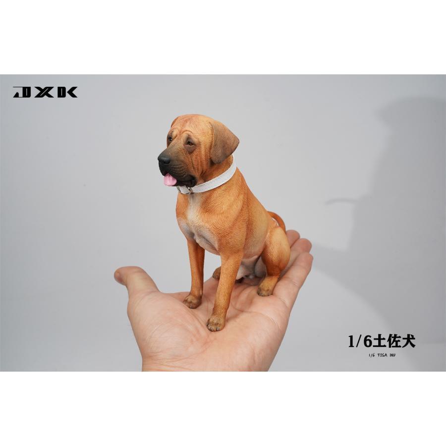 JXK 1/6 サイズ 土佐闘犬 土佐犬 フィギュア 17.5CM 樹脂 スタチュー リアル 犬 プラモデル 模型 プレミアム オリジナル 犬好き 誕生日 プレゼント 置物｜hirosyou｜21