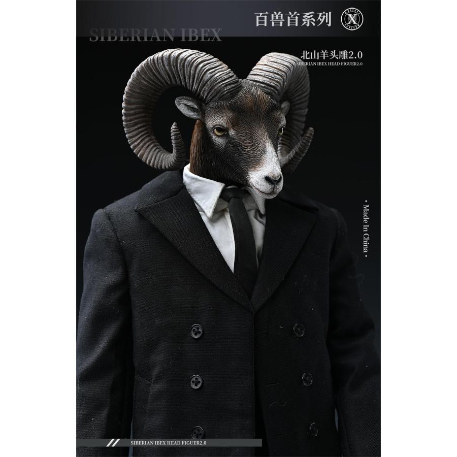 Mostoys 1/6 アイベックス フィギュア2.0 羊 リアルな動物模型 野生動物 哺乳類 頭 彫刻 人形用 交換でき コレクション プラモデル オリジナル モデル 模型 置物｜hirosyou｜18