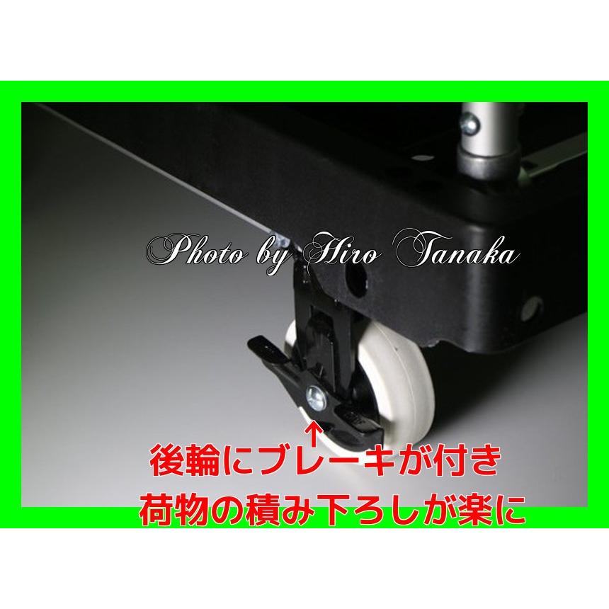 ALINCO 限定 送料無料 アルインコ ALINKO ツインキャリー