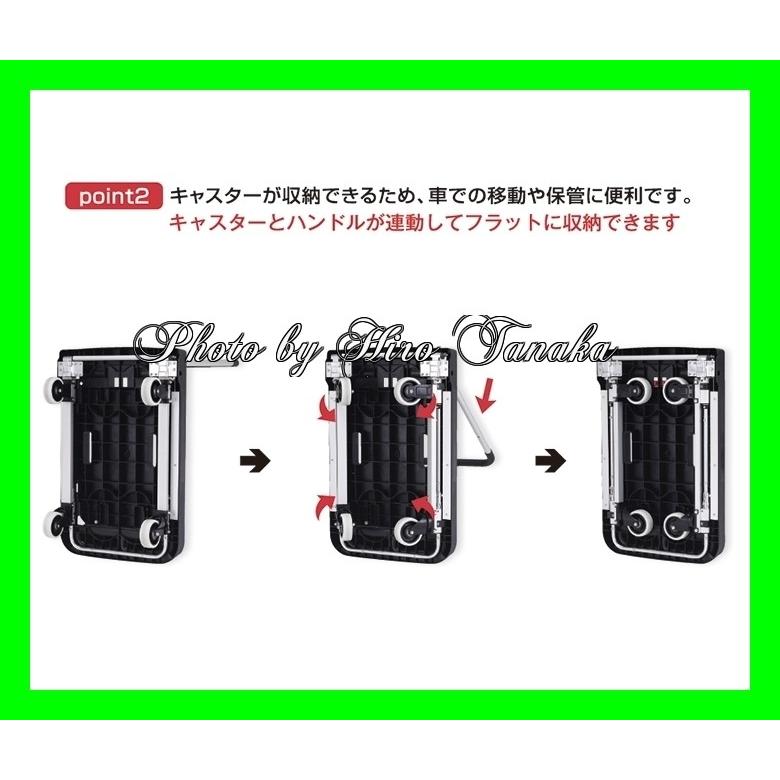 ALINCO 限定 送料無料 アルインコ ALINKO ツインキャリー