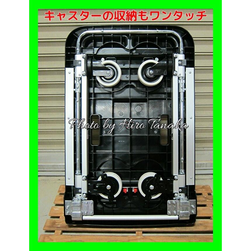 ALINCO（アルインコ） ツインキャリー 折りたたみ台車 MTW100 (KHFB100