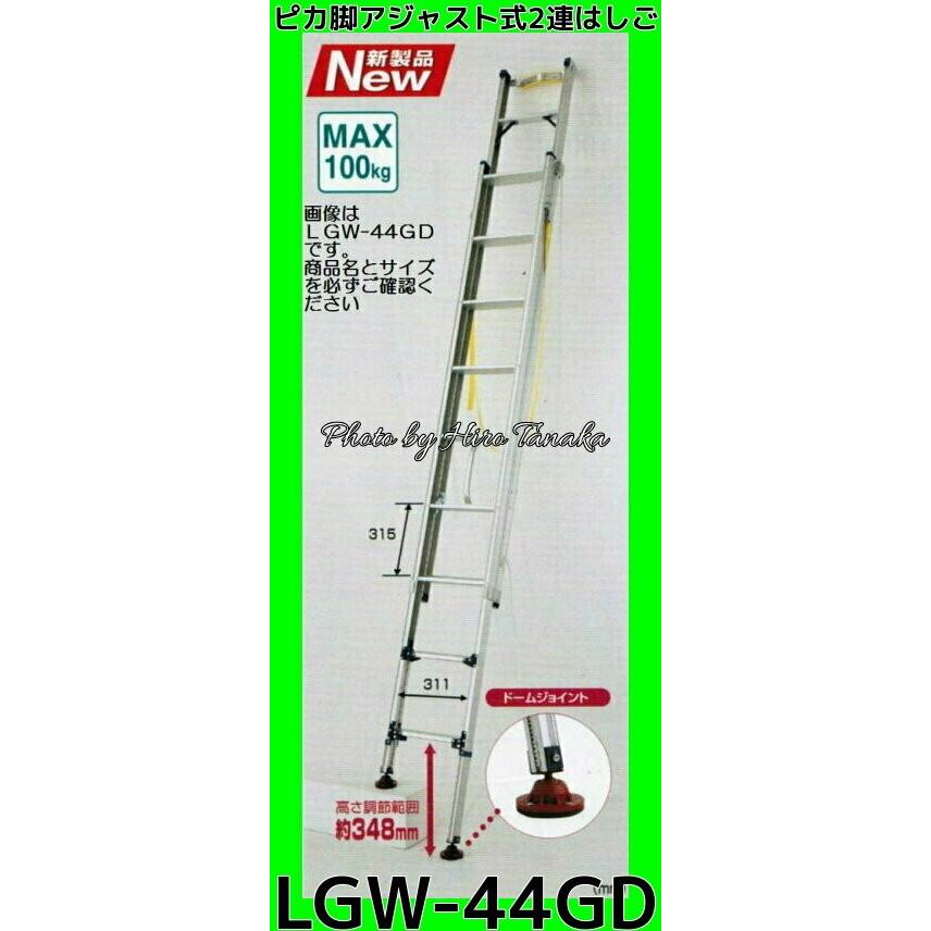 2連梯子 MAX約6メーター