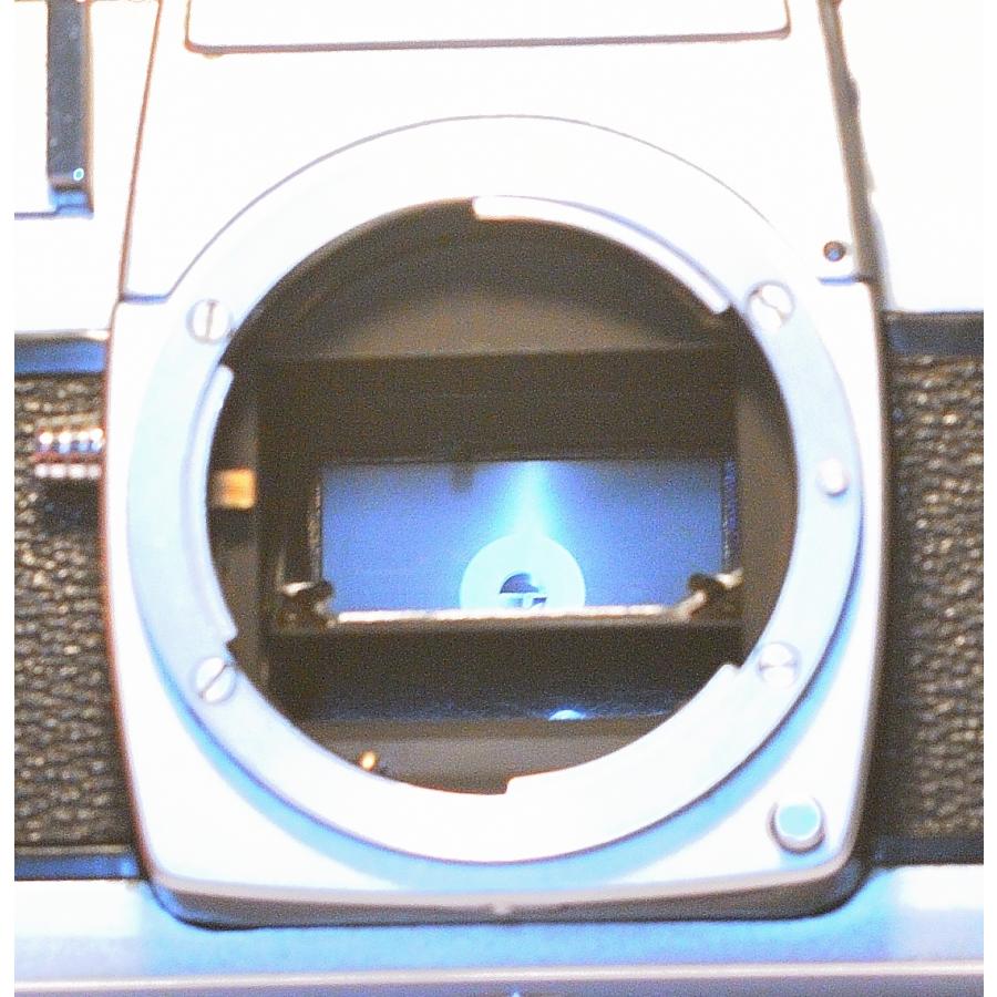 ニコン（Nikon） NIPPON KOGAKU 日本光学工業 NIKKOREX ニコレックス F