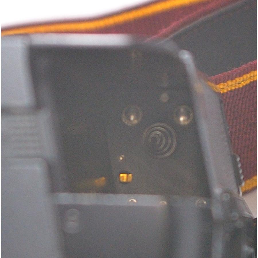 ニコン Nikon F3 ボディ DATA BACK データバック MF-14 MOTOR ニコン Nikon F3 ボディ DATA BACK データバック MF-14 MOTOR