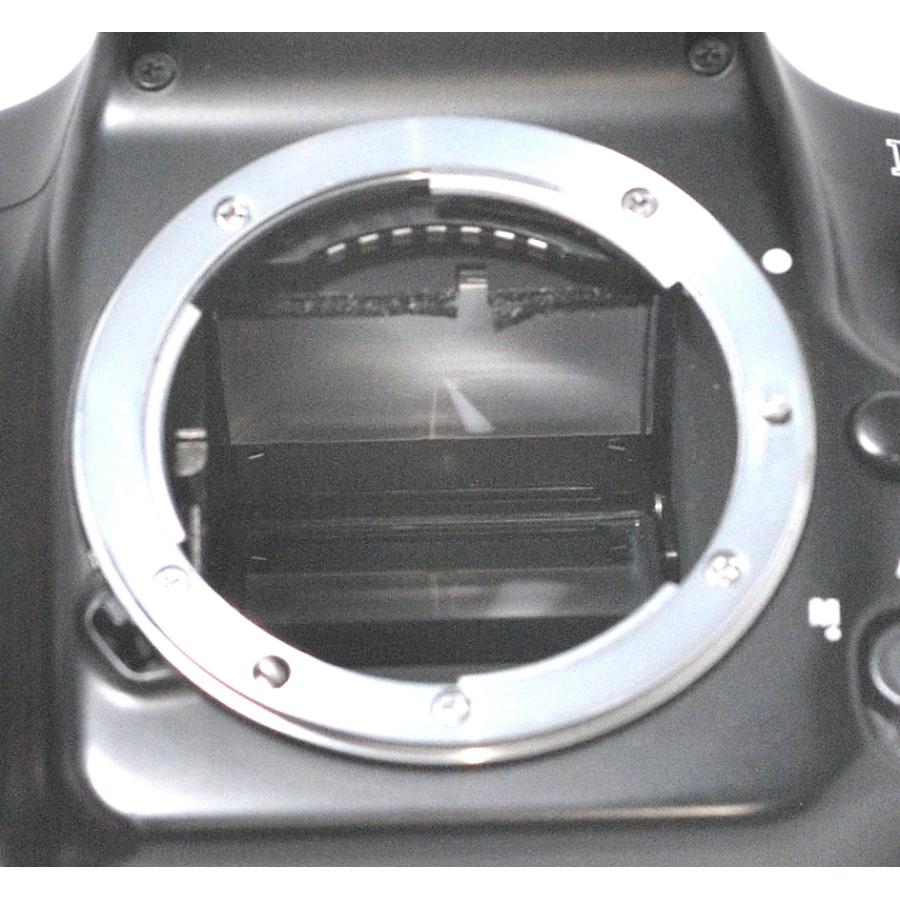 ニコン F50Dパノラマボディ ニコン Nikon F50D Panorama パノラマ BODY ボディ