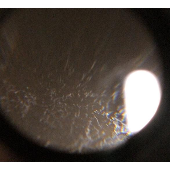 ニコン（Nikon） NEW NIKKOR ニューニッコール 50mm F1.4 Ai改