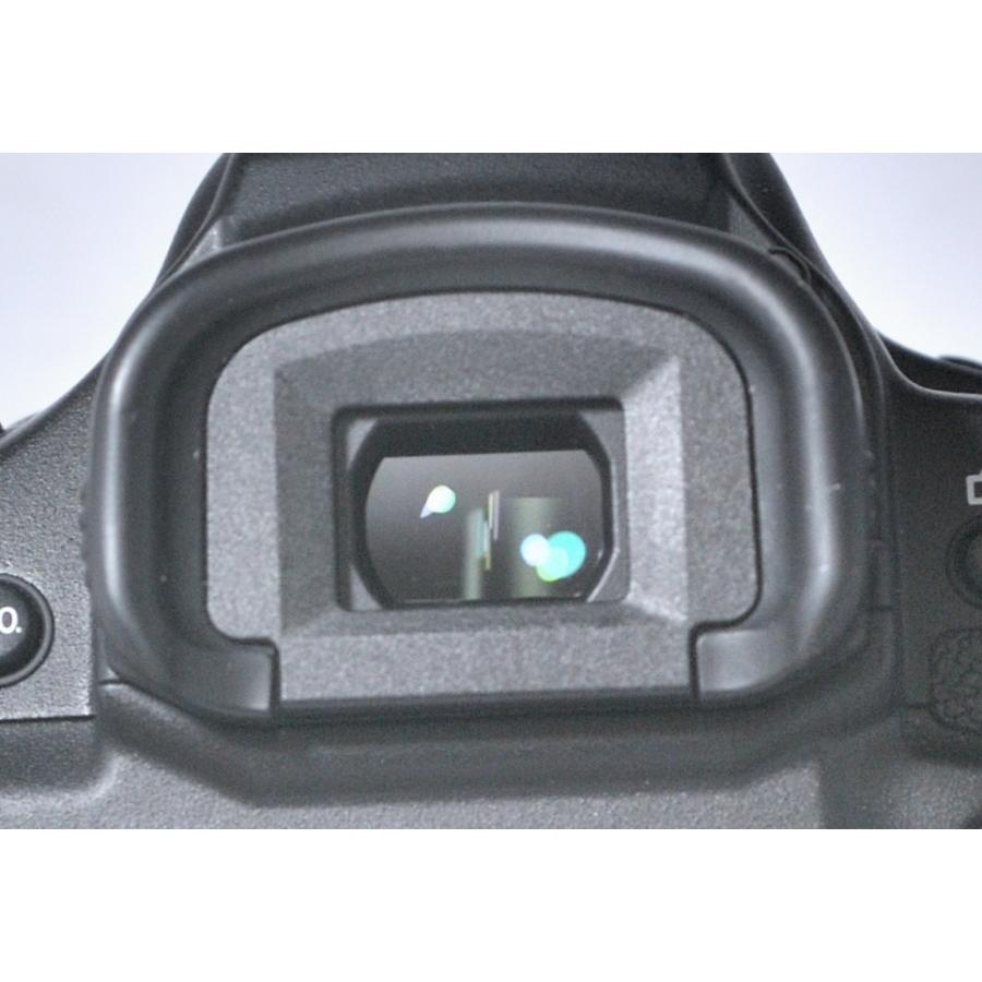 EOS DIGITAL Canon キヤノン イオス 1DX BODY ボディ