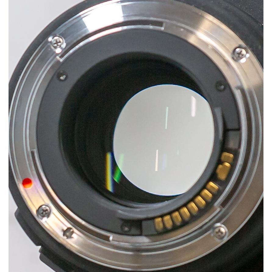 シグマ（SIGMA） APO 120-300mm F2.8 EX DG HSM for Canon キヤノン用