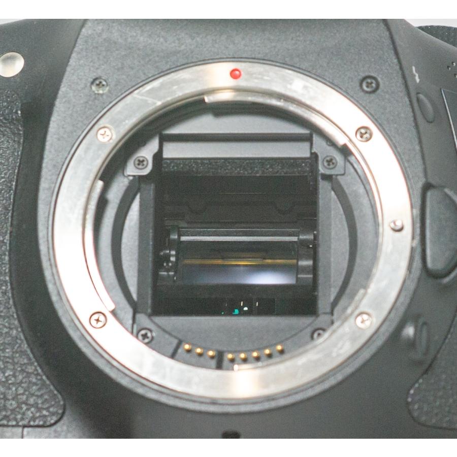 EOS DIGITAL Canon キヤノン イオス 7D BODY ボディ : ヒロヤヤフー店