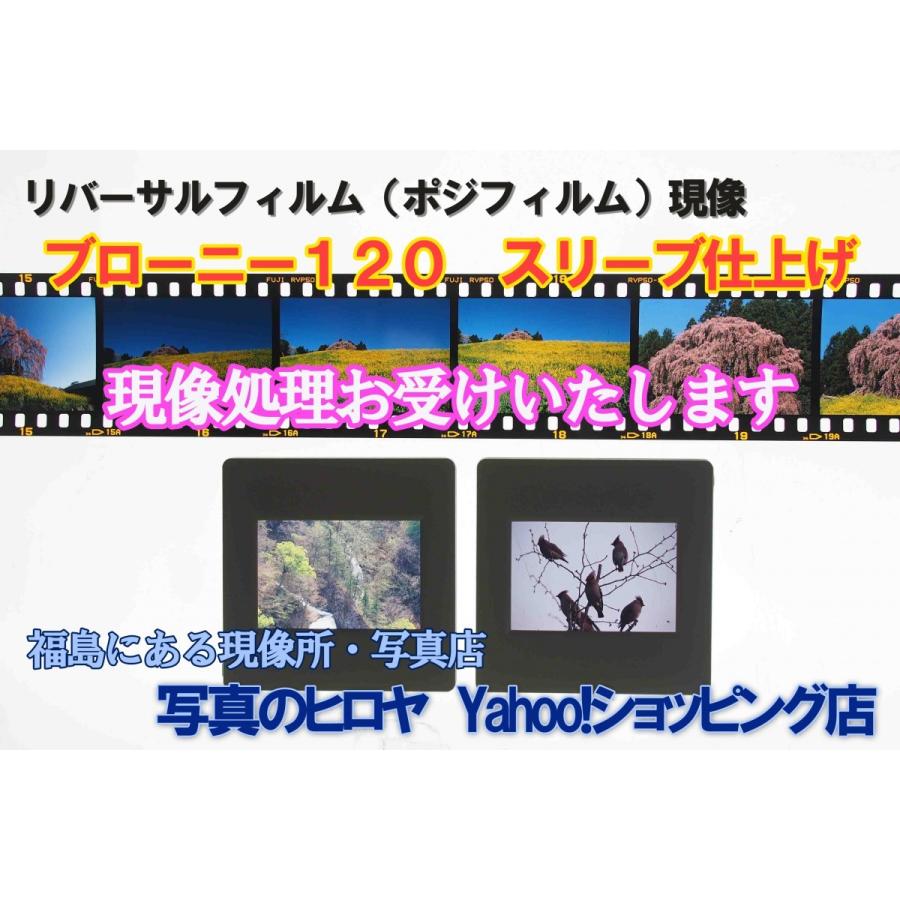 雨樹一期のトイカメラの教科書 第３回 フィルムの いろは トイラボカフェ
