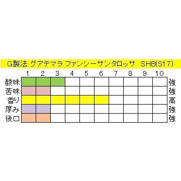 グアテマラファンシーサンタロッサSHB（S１７）４００ｇ送料無料消費税込み コーヒー コーヒーマメ｜hiruandoncoffee｜03