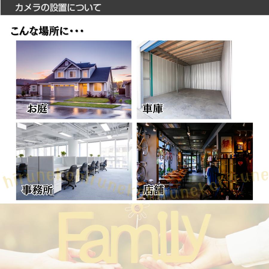 ELPA（エルパ） ワイヤレス 防犯カメラ モニターセット 屋外監視カメラ