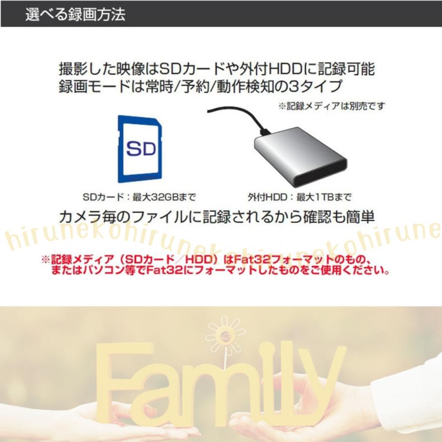 ELPA（エルパ） ワイヤレス 防犯カメラ モニターセット 屋外監視カメラ