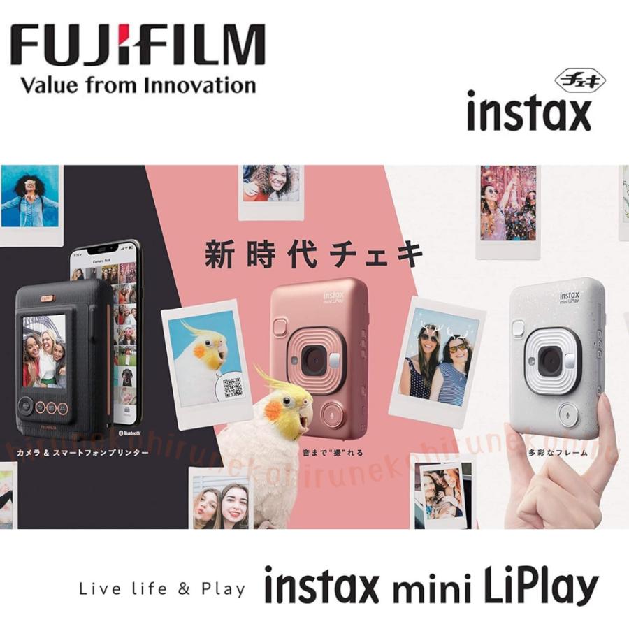 instax FUJIFILM フジフイルム ハイブリッドインスタントカメラ mini