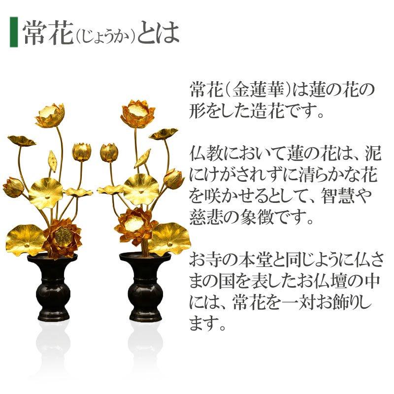 常花 仏具 常花蓮華 金蓮華 8号9本立て 軽合金 金色 1対 : 仏壇・位牌