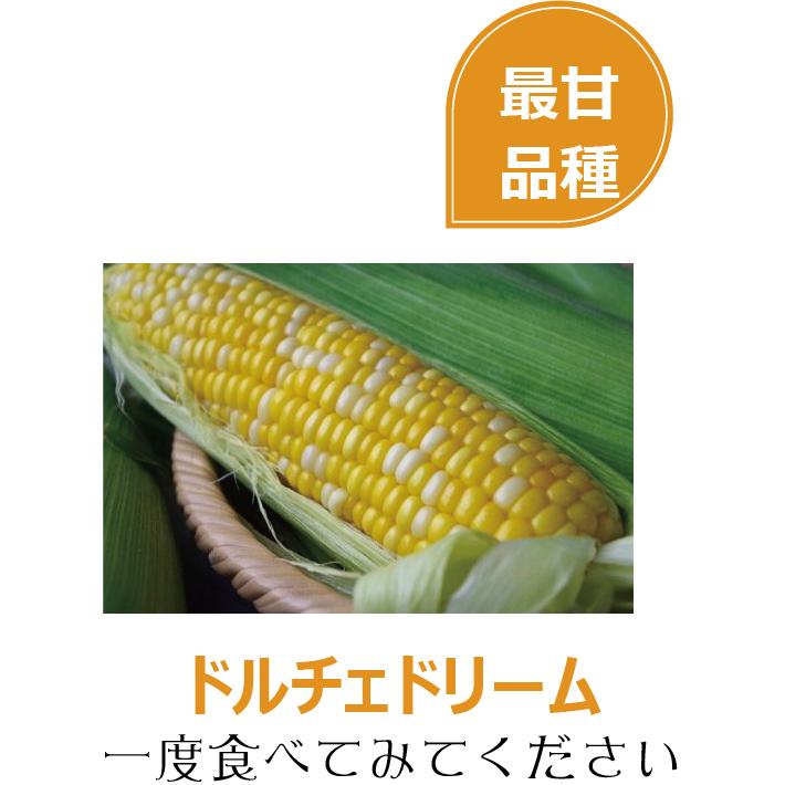 とうもろこし 食べくらべ 20本 甘い スイートコーン 最甘品種 ドルチェドリーム10本と 白いトウモロコシ10本 行列のできる 岡山 ひるぜん農園 送料無料 DM2 :020:ひるぜん農園ヤフー店 - 通販 - Yahoo!ショッピング とうもろこし 食べくらべ 20本 甘い スイートコーン 最甘品種 ドルチェドリーム10本と 白いトウモロコシ10本 行列のできる 岡山 ひるぜん農園 送料無料 DM2 :020:ひるぜん農園ヤフー店 - 通販 - Yahoo!ショッピング