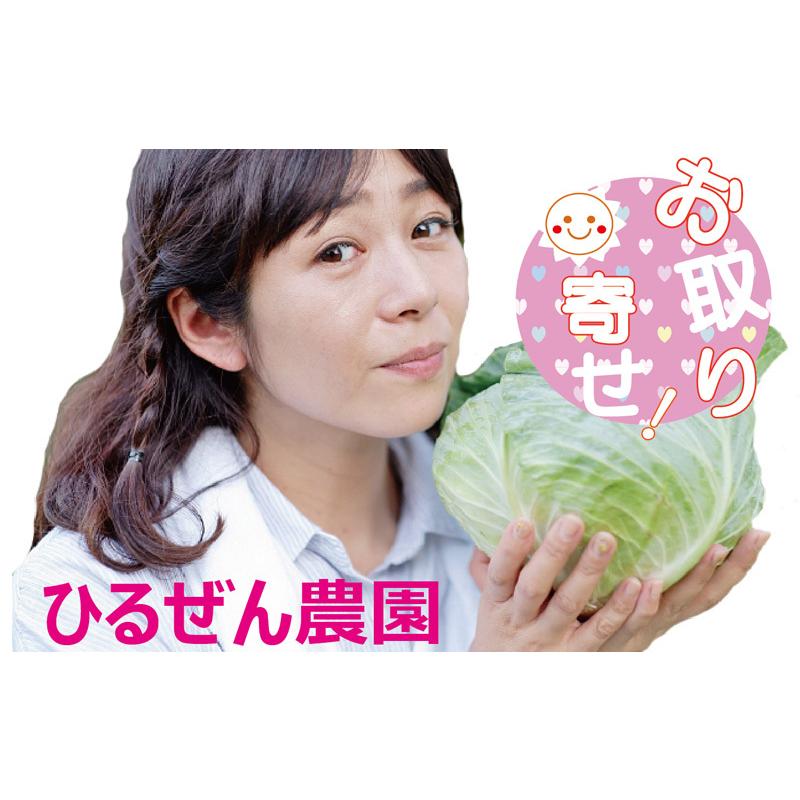 福袋 キャベツ 送料無料 お取り寄せ 高原 朝採れ 1玉 Lサイズ 10g以上 単品野菜 乳酸キャベツ 塩キャベツ 低農薬 岡山の雪国 ひるぜん高原 Wantannas Go Id