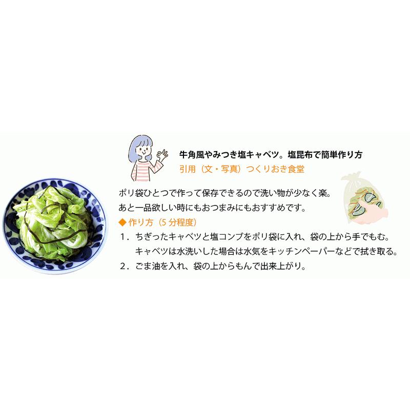 人気激安 キャベツ 送料無料 お取り寄せ 高原 朝採れ 1玉 Lサイズ 10g以上 単品野菜 乳酸キャベツ 塩キャベツ 低農薬 岡山の雪国 ひるぜん高原 Wantannas Go Id