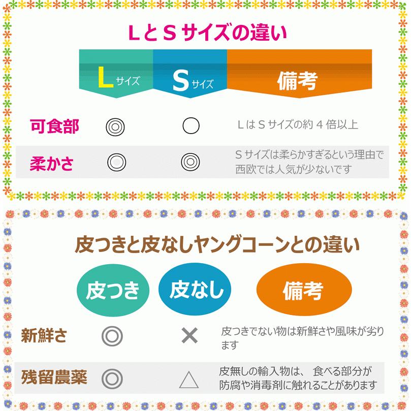 ヤングコーン 新鮮 生 レストランサイズ 生 30本 大きい【Lサイズ 8-12cm】 皮付き 直売 岡山 ひるぜん農園 常温配送 送料無料 YOUNG_30｜hiruzen-ichiba｜04