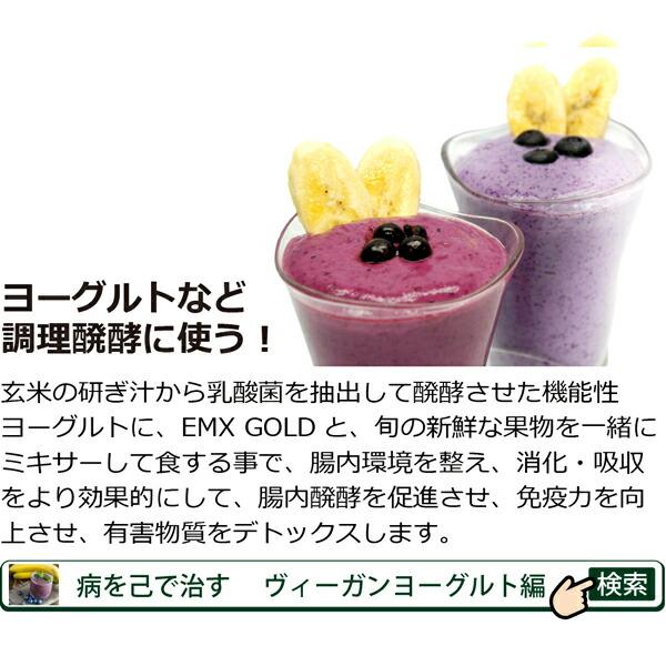 ポイント12倍】EMX GOLD 500ml×3本【送料無料！】【微生物の力で健康に