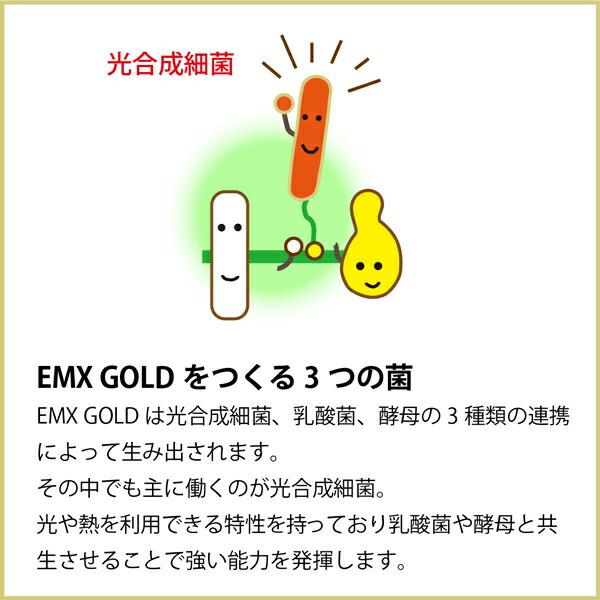 ポイント12倍】EMX GOLD 500ml×3本【送料無料！】【微生物の力で健康に