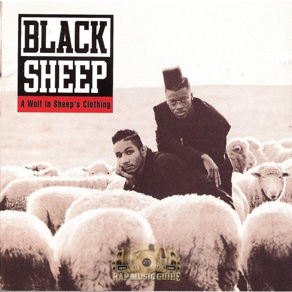 BLACK SHEEP Tシャツ ブラックシープ This That T-Shirt ネイティブ