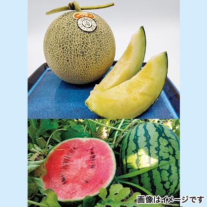 4287円 最大56 オフ 山形 小玉スイカとメロンの食べ比べ 直送品 お取り寄せグルメ ギフト プレゼント His Id H