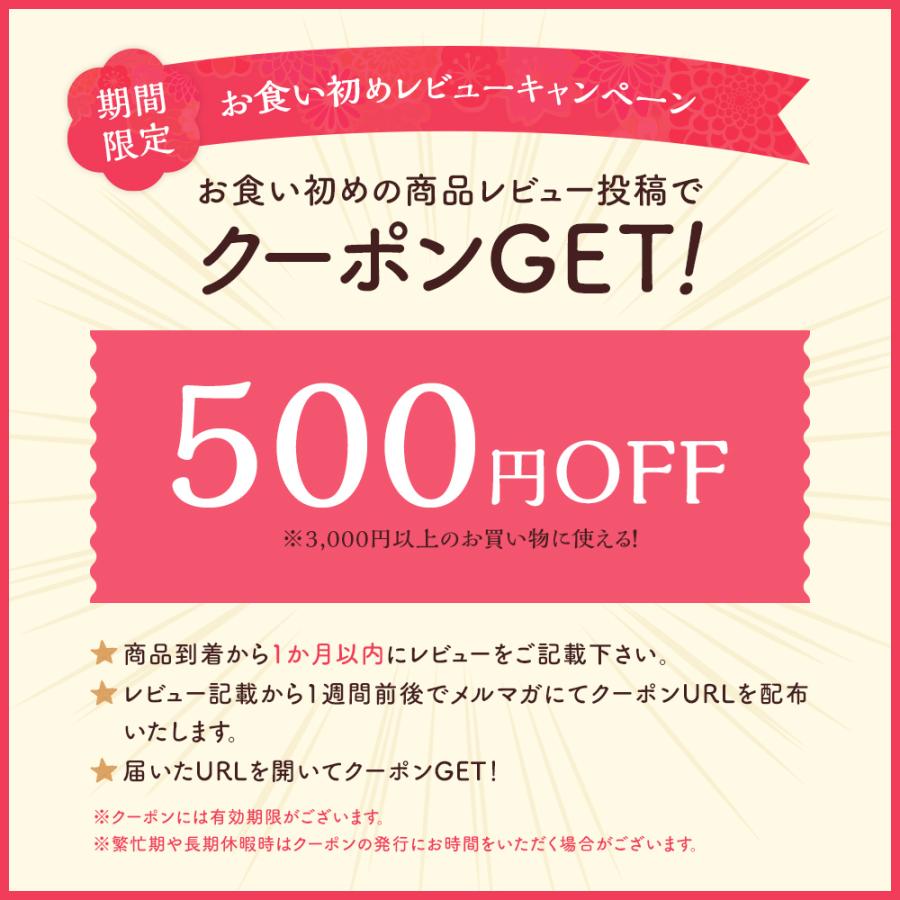 期間限定☆クーポン利用で150円OFF】お食い初め セット (小) 食器 お