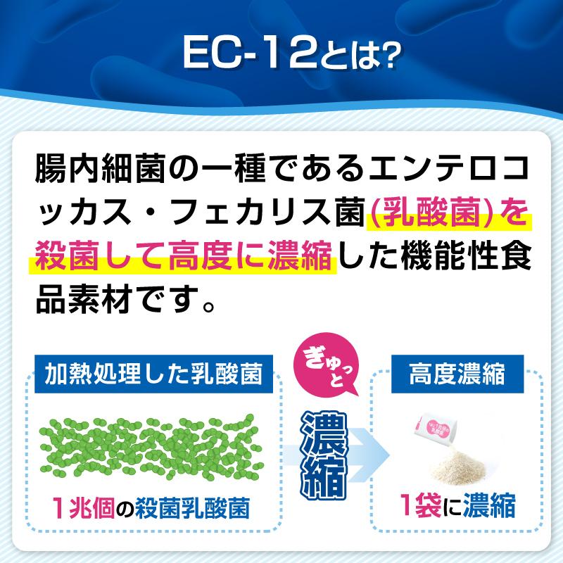 久光製薬 乳酸菌(EC-12)30袋×3 約3か月分 サプリメント 顆粒 乳酸菌