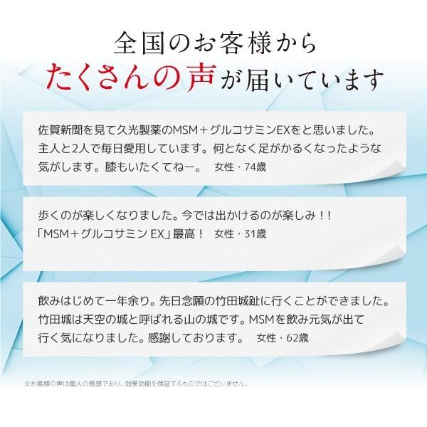 【階段の昇り降りをスムーズに！】MSM+グルコサミン EX 300粒×3 約3か月分 膝 ひざ サプリ グルコサミン コンドロイチン MSM 関節痛  関節 久光製薬｜hisamitsukenkou｜09