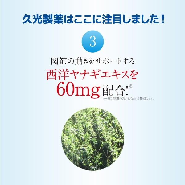 久光製薬 階段の昇り降りをスムーズに！ MSM+グルコサミン EX 300粒 約