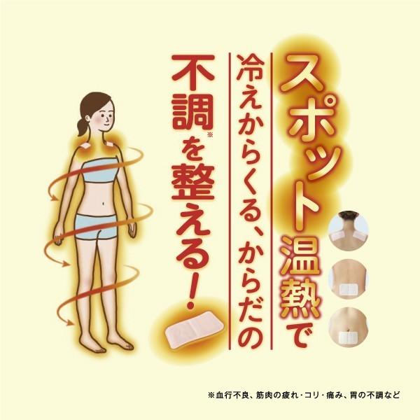 久光製薬 温熱用具 直貼 Mサイズ (腰・背中用）8枚入 肌に直接貼れて