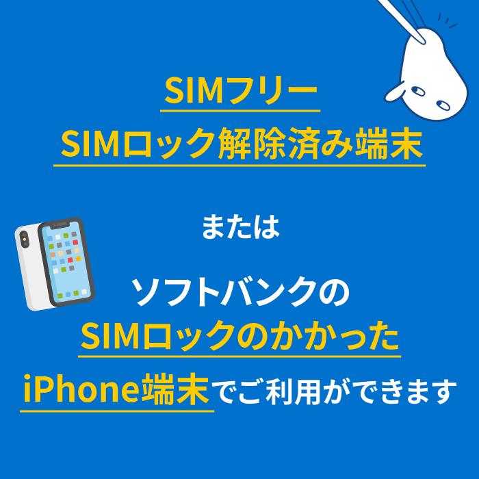 お得な2枚セット！【プリペイドSIM】ソフトバンク31日間無制限（SIM