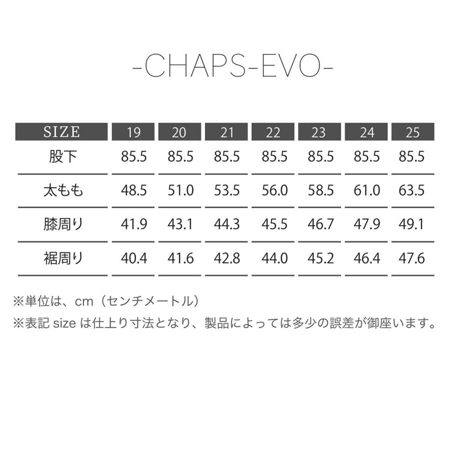 カドヤ（KADOYA） 【CHAPS-EVO2】 チャップス-エボ2 パテッド ソフト